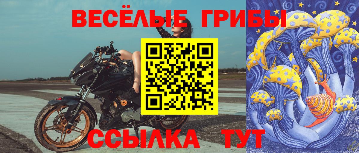 Кушва  Галлюциногенные грибы Magic Shrooms  Вход с VPN 