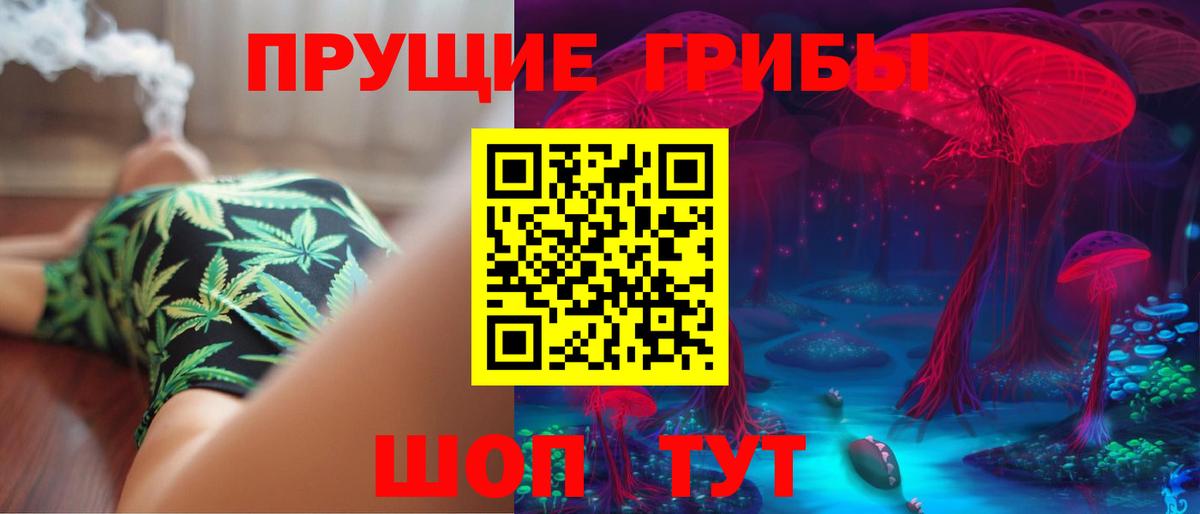Псилоцибиновые грибы мицелий Кушва